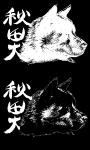 Akita dog japan